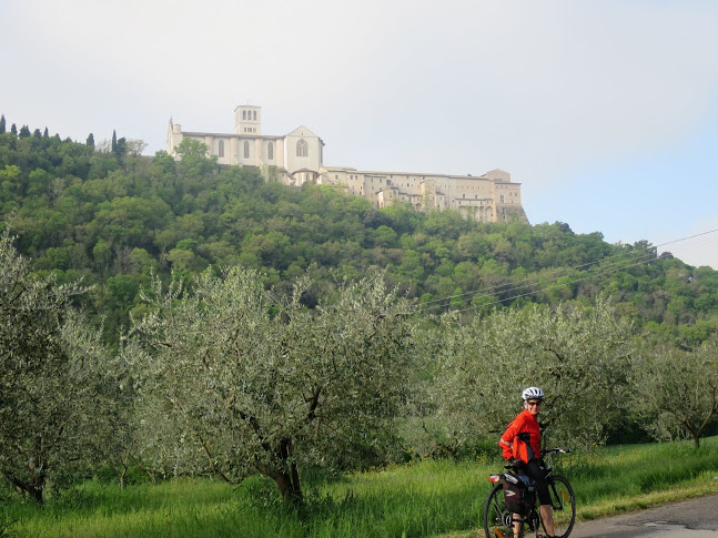 Cyclist  Basilica.JPG